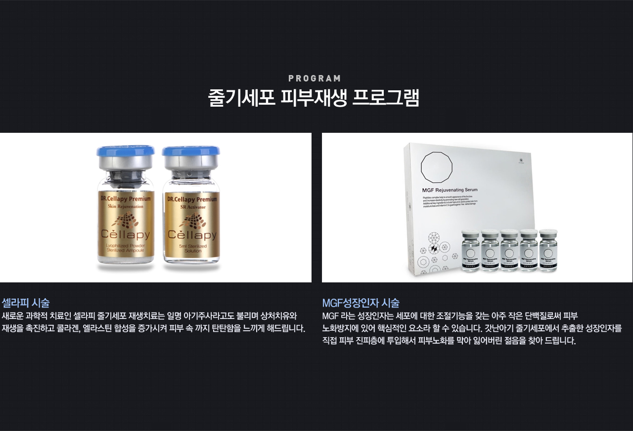 줄기세포 피부재생 프로그램