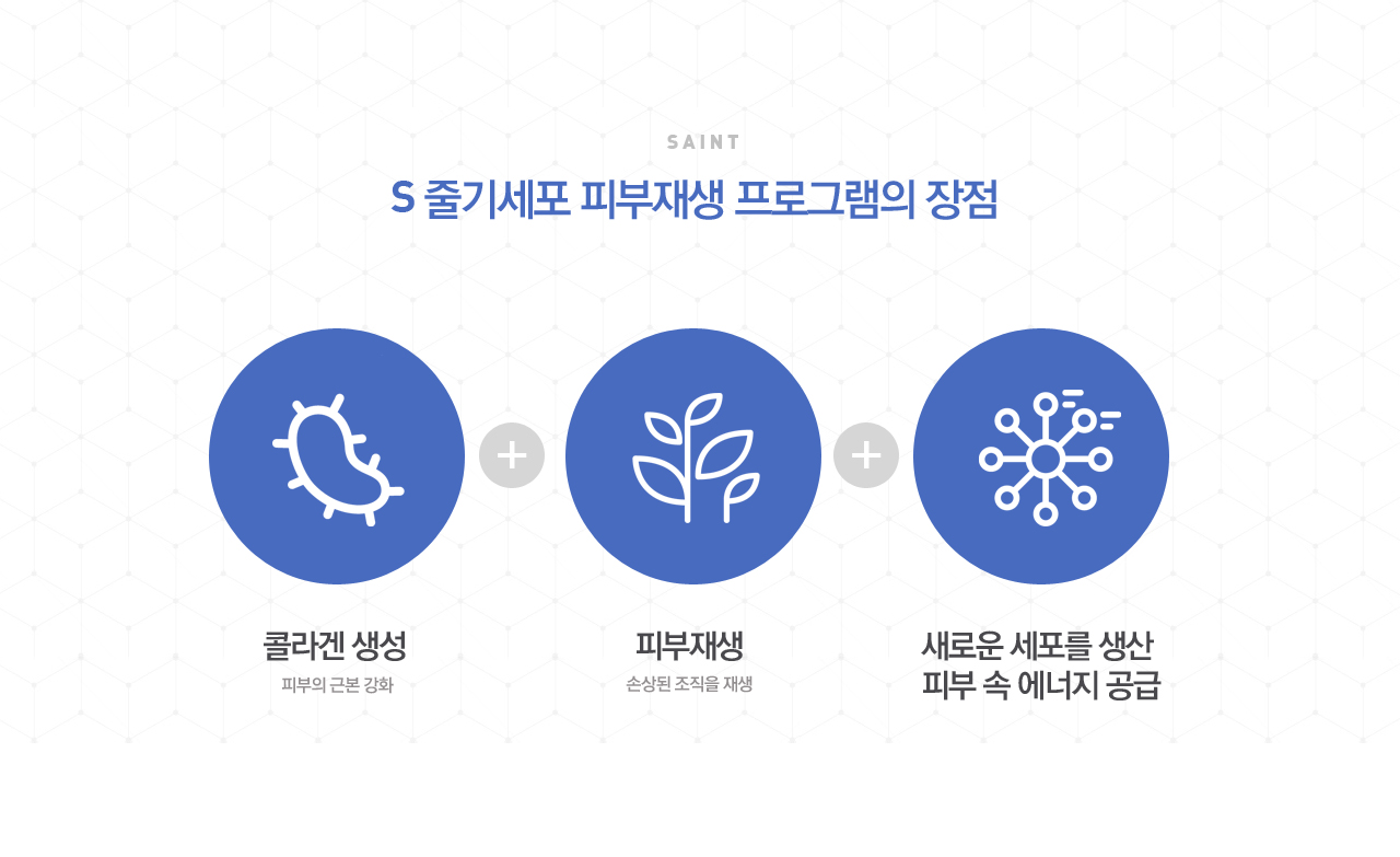 줄기세포 피부재생 프로그램