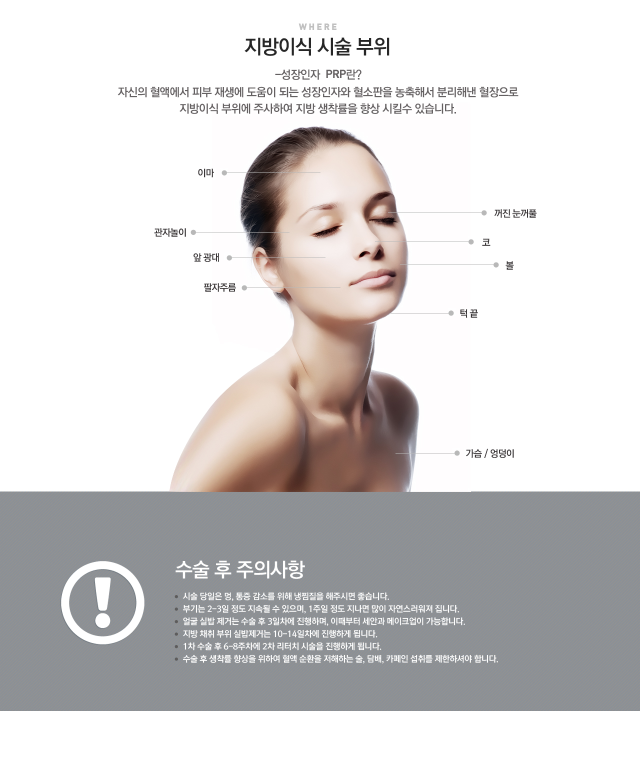 성인인자 지방이식