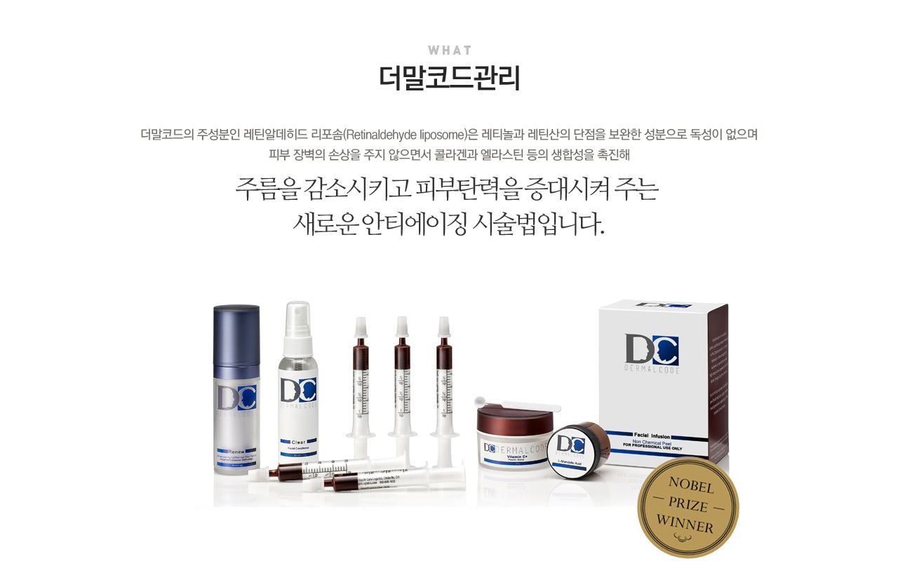 연예일필