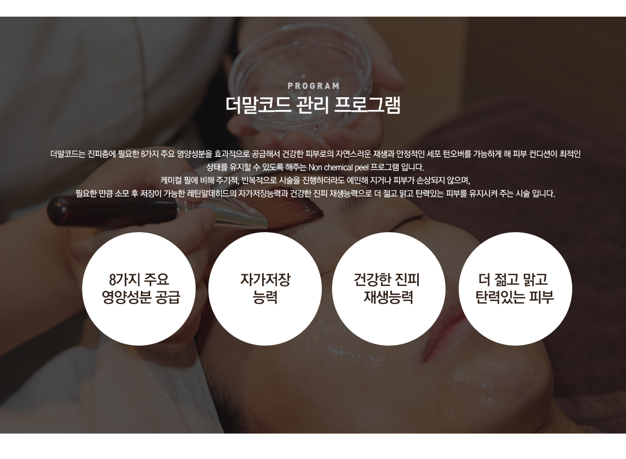 연예일필