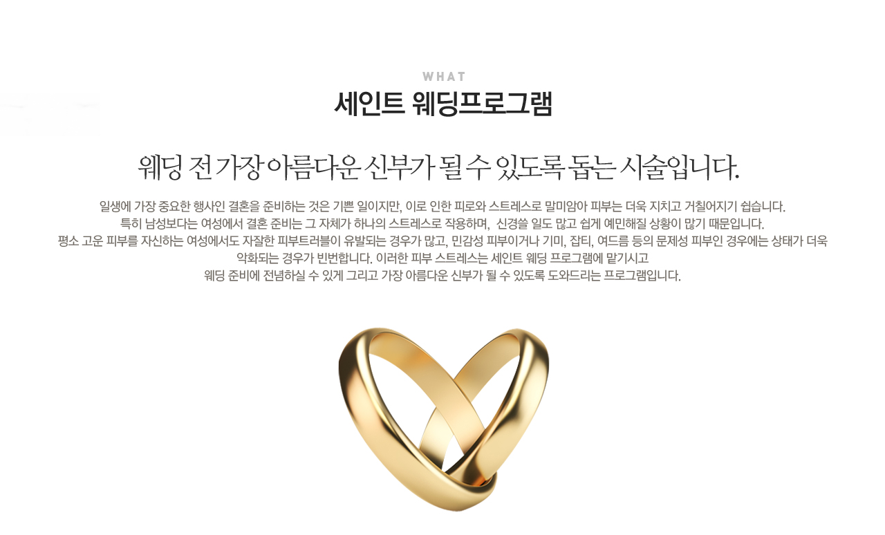 연예일필