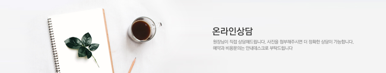 온라인 상담