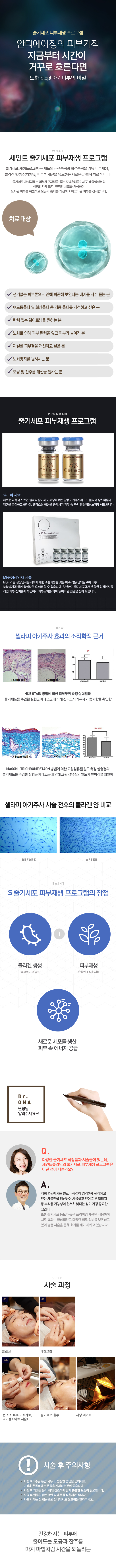 줄기세포 피부재생 프로그램
